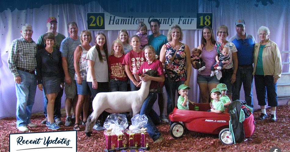 Gourley Club Lambs